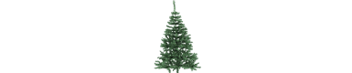 Fir trees